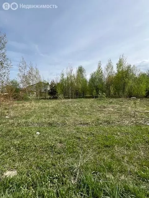 Участок в Нижегородская область, Балахнинский муниципальный округ, ... - Фото 2