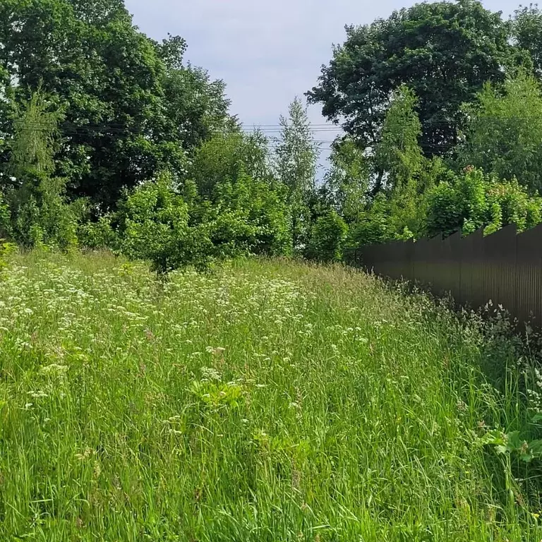 Участок в Московская область, Пушкинский городской округ, д. Нагорное ... - Фото 1