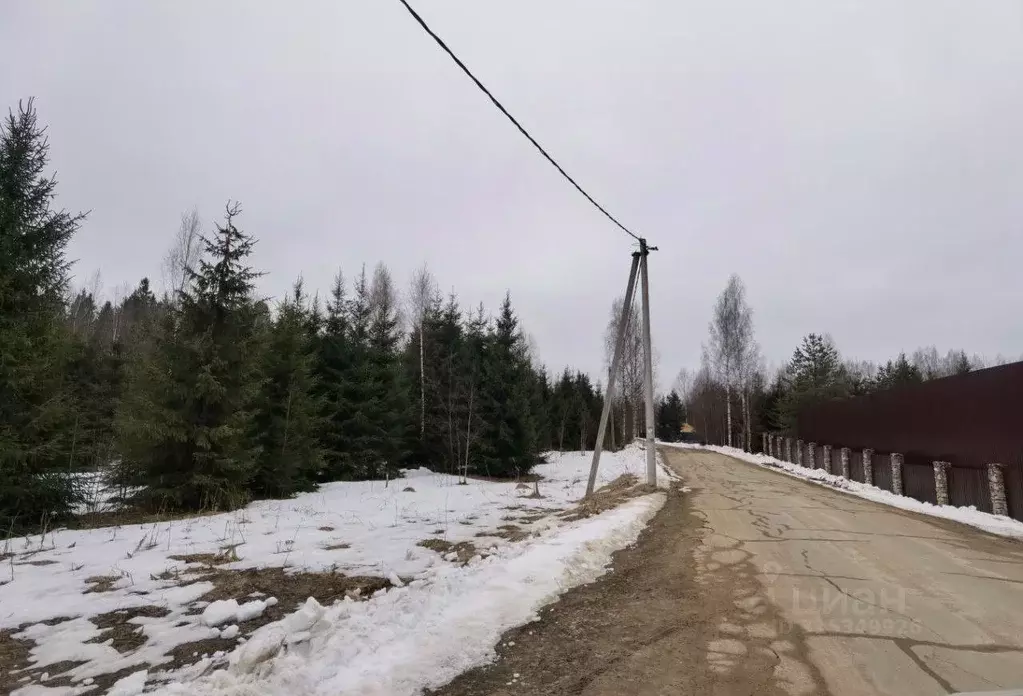 Участок в Новгородская область, Валдайский район, Костковское с/пос, ... - Фото 2