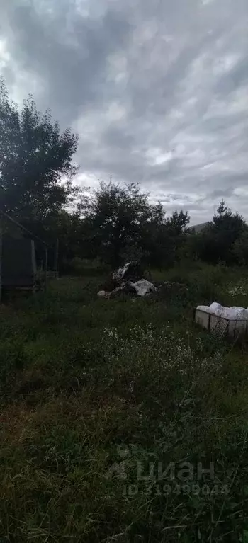 Участок в Саратовская область, д. Долгий Буерак, Новь СНТ  (4.9 сот.) - Фото 1