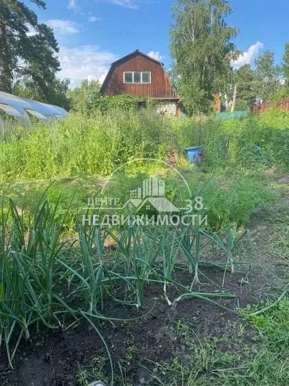 Дом в Иркутская область, Иркутский муниципальный округ, Светофор СНТ ... - Фото 0