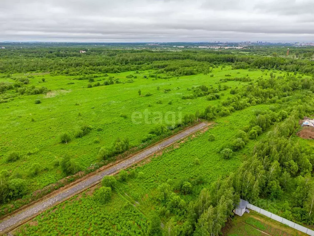 Участок в Хабаровский край, Хабаровский район, Мичуринское с/пос, ... - Фото 1
