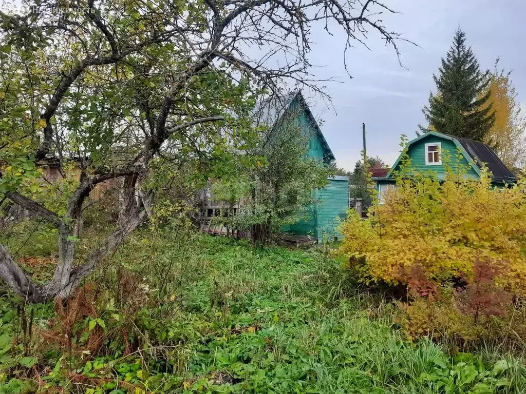 Дом в Вологда, садоводческое товарищество Керамик (50 м) - Фото 0