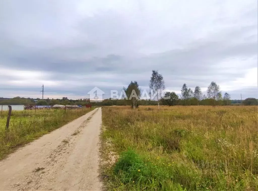 Участок в Владимирская область, Судогодский район, пос. Головино ул. ... - Фото 0
