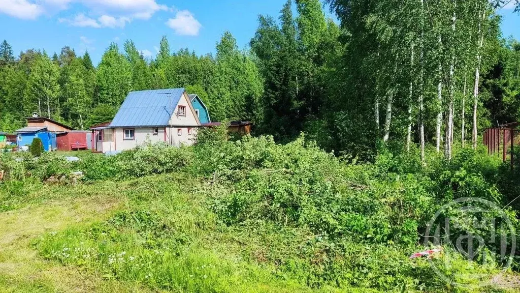 Участок в Ленинградская область, Выборгский район, Красносельское ... - Фото 1