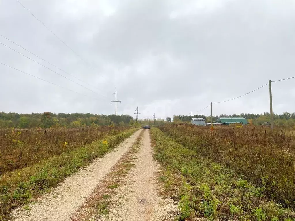 Участок в Липецкая область, Липецкий муниципальный округ, с. Сенцово ... - Фото 1