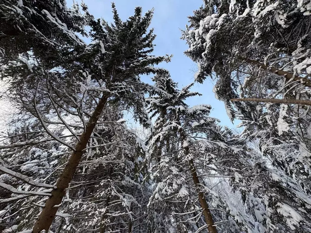 Участок в Московская область, Волоколамский муниципальный округ, ... - Фото 1