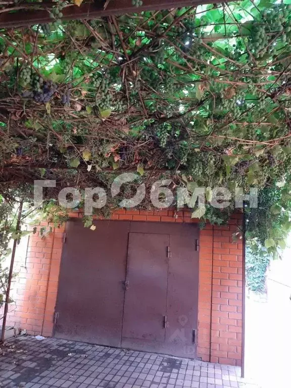 Дом в Воронежская область, Лискинский район, Давыдовское городское ... - Фото 2