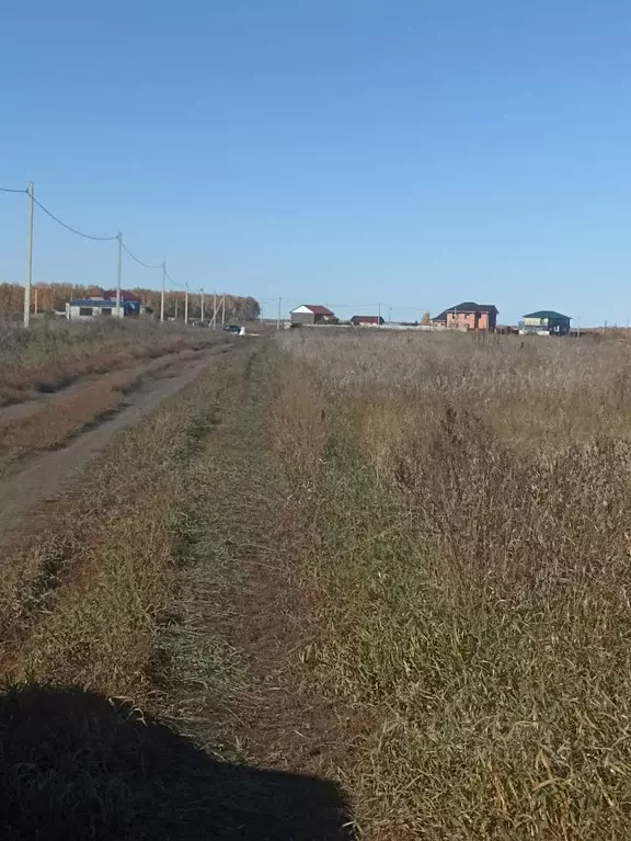 Участок в Омская область, Омский район, с. Дружино Октябрьская ул., 18 ... - Фото 1