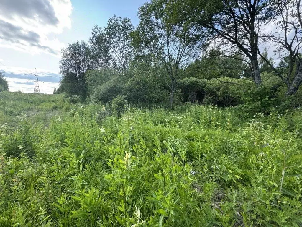 Участок в Костромская область, Костромской район, Середняковское ... - Фото 2