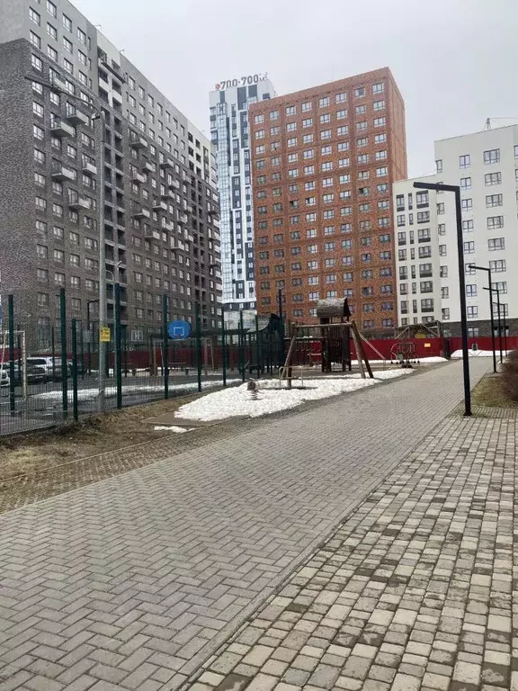 Студия Удмуртия, Ижевск ул. Ленина, 95А (23.2 м) - Фото 2