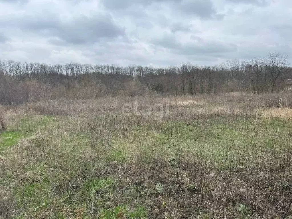 Участок в Белгородская область, Строитель Яковлевский городской округ, ... - Фото 1