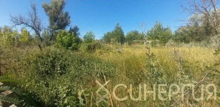 Участок в Ростовская область, Азовский район, Елизаветинское с/пос, ... - Фото 2