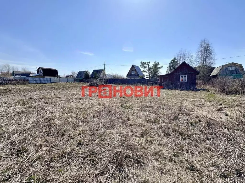 Участок в Новосибирская область, Искитимский район, Мичуринский ... - Фото 0