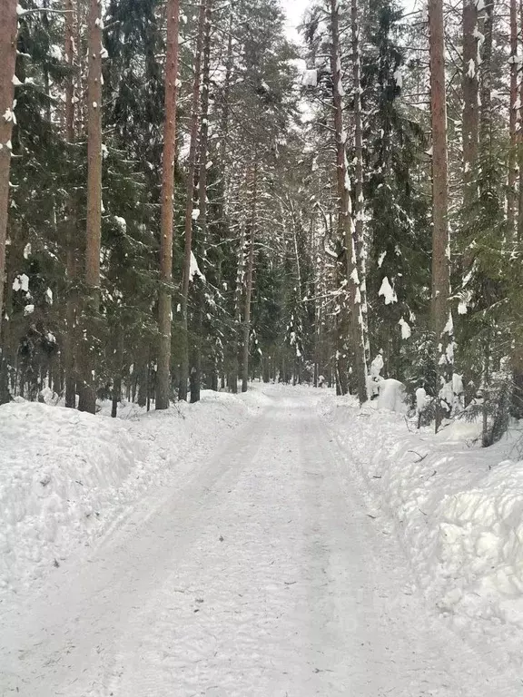 Участок в Ярославская область, Ярославский муниципальный округ, с. ... - Фото 2