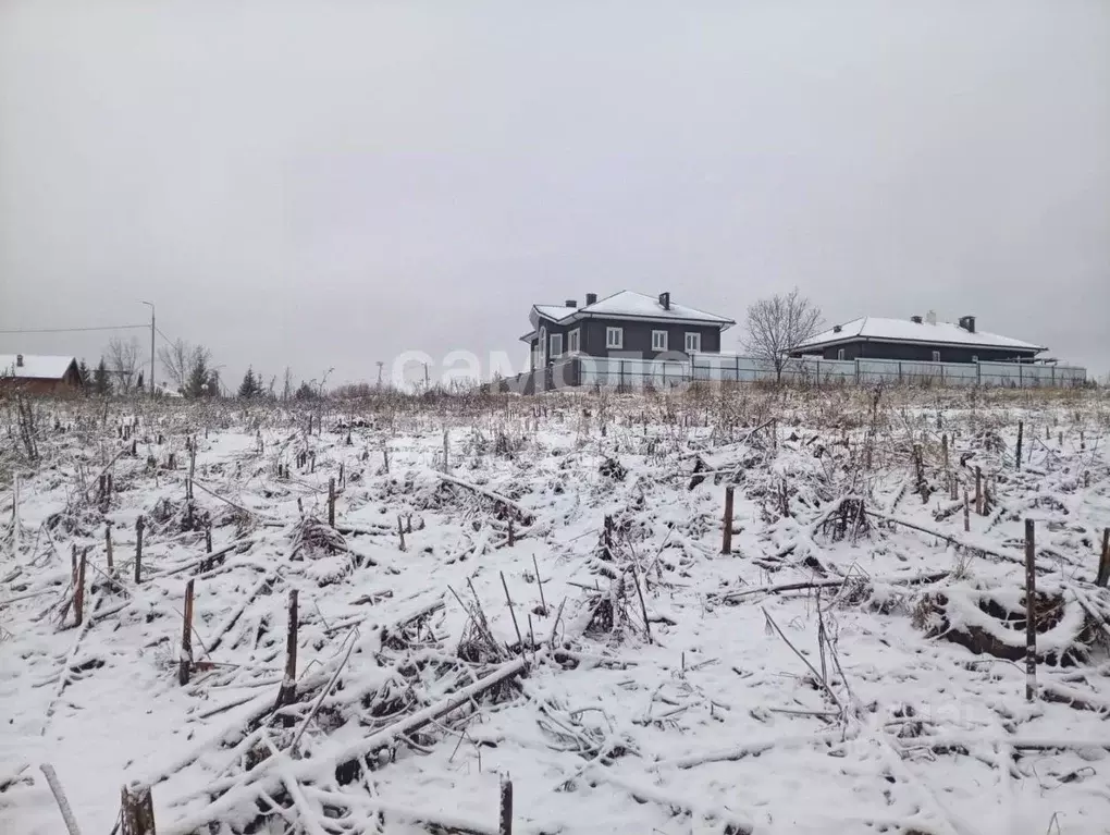 Участок в Москва д. Давыдово, 95Г (8.0 сот.) - Фото 2