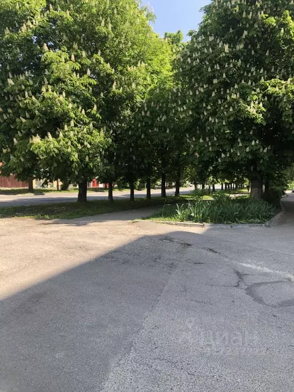 2-к кв. Ставропольский край, Ставрополь ул. Ленина, 98 (52.0 м) - Фото 1