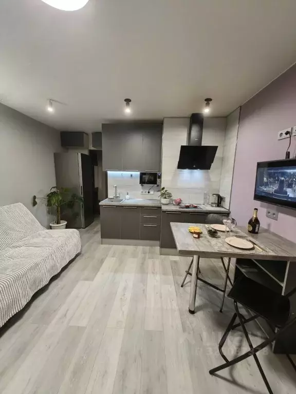 Студия Санкт-Петербург Полевая Сабировская ул., 45к1 (23.0 м) - Фото 1