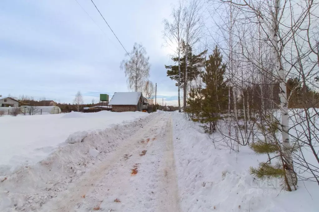 Участок в Тюменская область, Нижнетавдинский район, Здоровье-3 СТ  ... - Фото 1