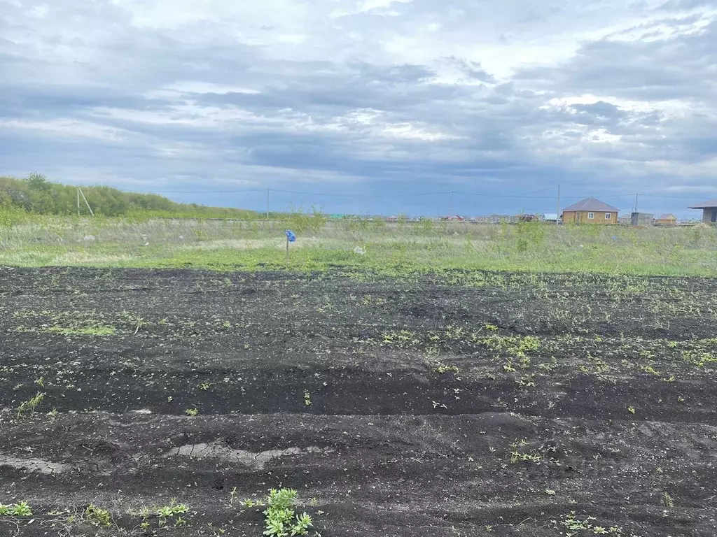 Участок в Башкортостан, Аургазинский район, с. Толбазы ул. Сельская ... - Фото 1