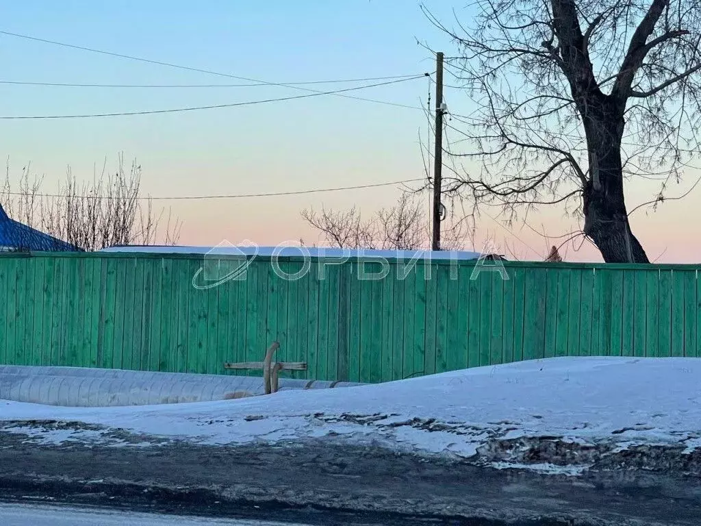 Участок в Тюменская область, Тюмень СОСН Мичуринец тер., 40 (5.0 сот.) - Фото 2