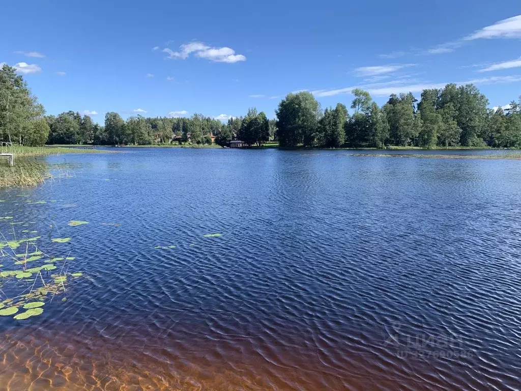 Участок в Ленинградская область, Приозерский район, Громовское с/пос  ... - Фото 1