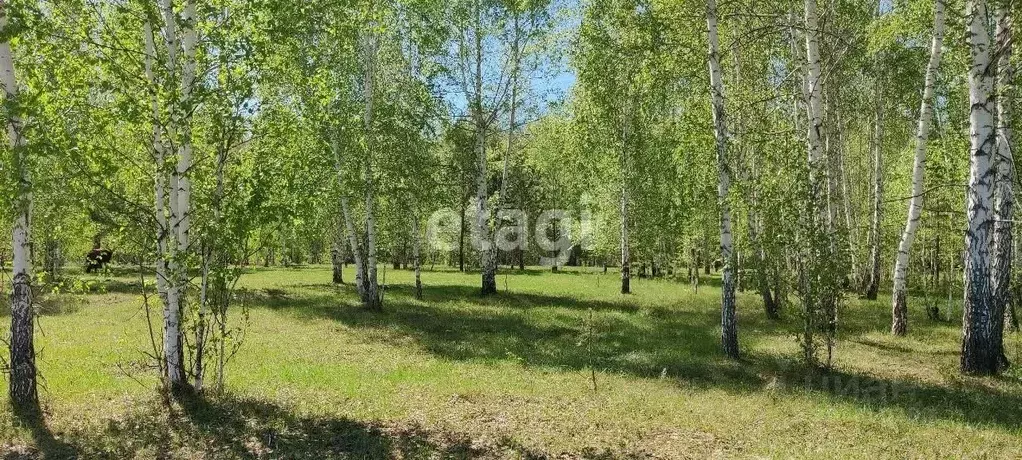 Участок в Новосибирская область, Искитимский район, Быстровский ... - Фото 0