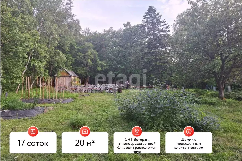 Дом в Хабаровский край, Хабаровский район, Ветеран Труда СНТ  (20 м) - Фото 2