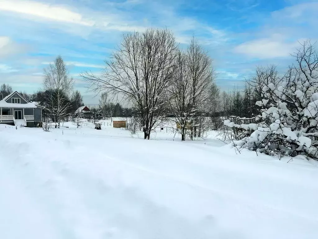 Участок в Московская область, Дмитровский муниципальный округ, Форест ... - Фото 2
