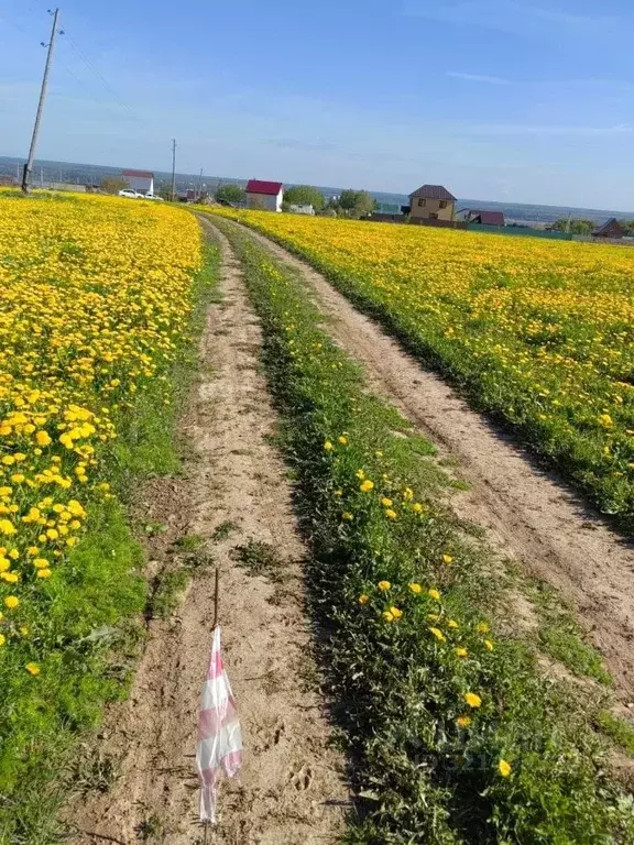 Участок в Калужская область, Жуковский район, Троицкое с/пос, д. ... - Фото 2