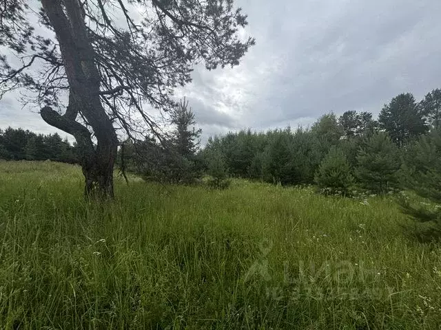 Участок в Московская область, Воскресенск городской округ, д. ... - Фото 2
