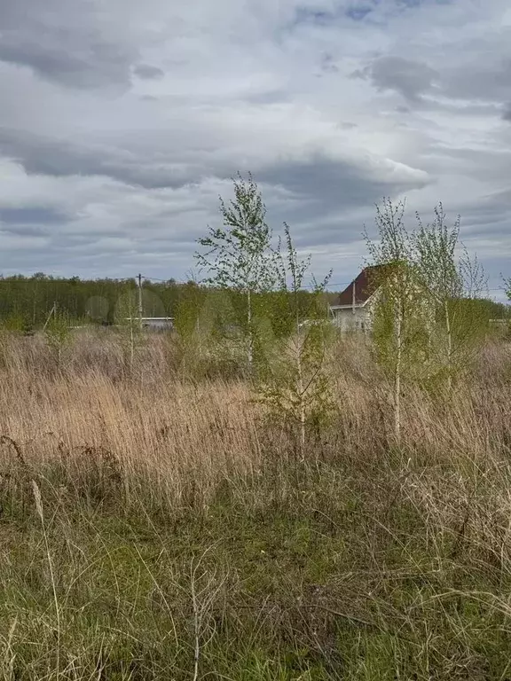 Участок 10 сот. (ИЖС) - Фото 1