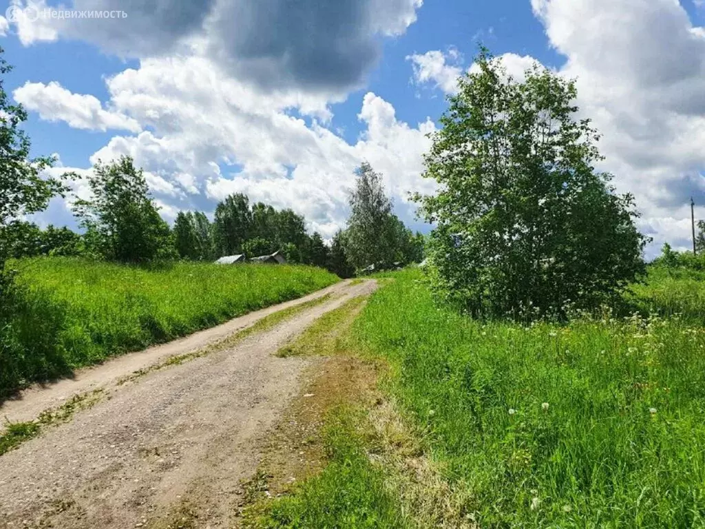 Участок в Череповецкий район, муниципальное образование Югское, село ... - Фото 0