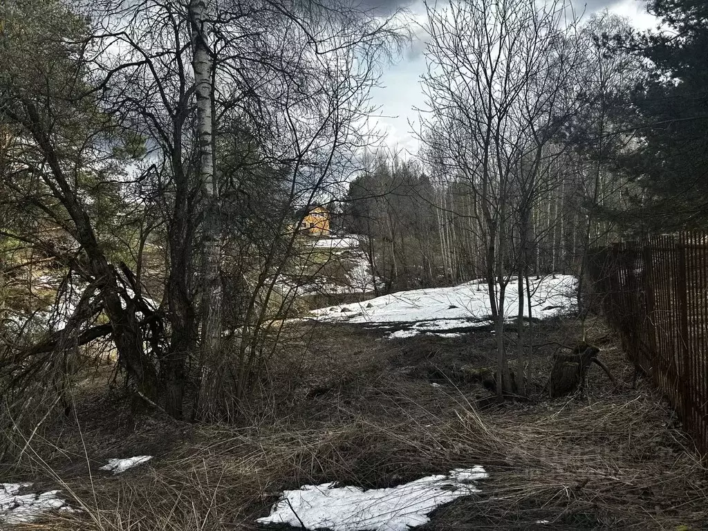 Участок в Московская область, Ступино городской округ, д. Калянино ул. ... - Фото 1