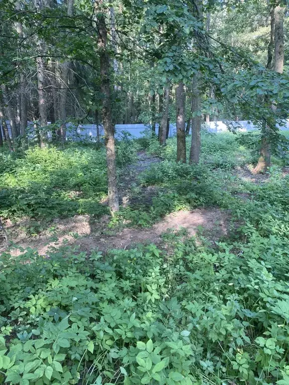 Дом в Московская область, Одинцовский городской округ, Рожновка хут., ... - Фото 2