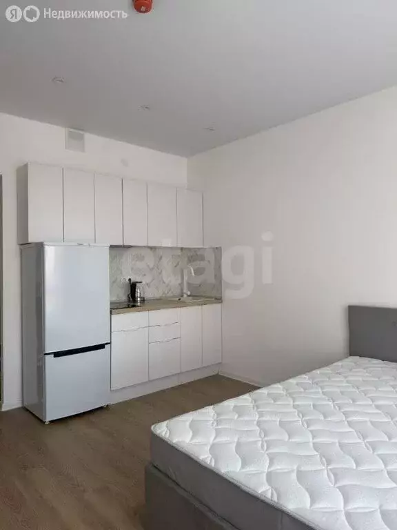 Квартира-студия: Санкт-Петербург, Лиговский проспект, 244 (23.4 м) - Фото 1