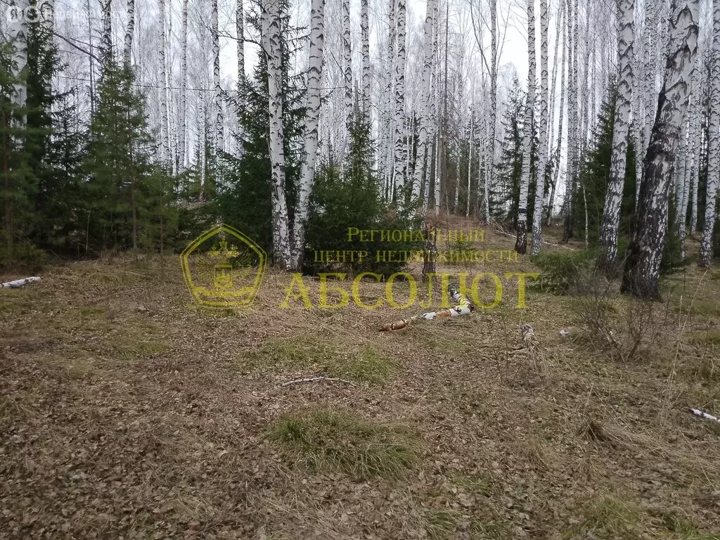 Участок в Дегтярск, Солнечная улица, 23 (10 м) - Фото 2