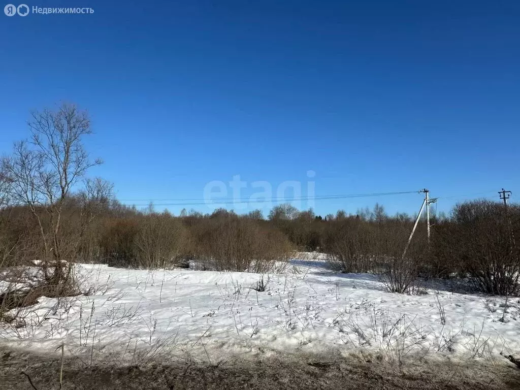 Участок в Ярославский муниципальный округ, деревня Бузаркино (22 м) - Фото 2