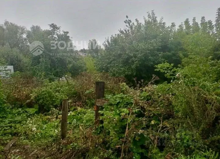 Участок в Чувашия, Канаш ул. Репина (5.78 сот.) - Фото 1