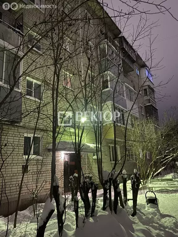 1-комнатная квартира: Иваново, проспект Строителей, 110 (30 м) - Фото 1