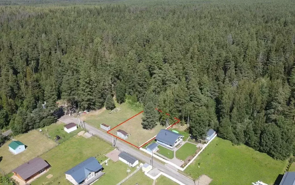 Участок в Ленинградская область, Приозерский район, Раздольевское ... - Фото 1