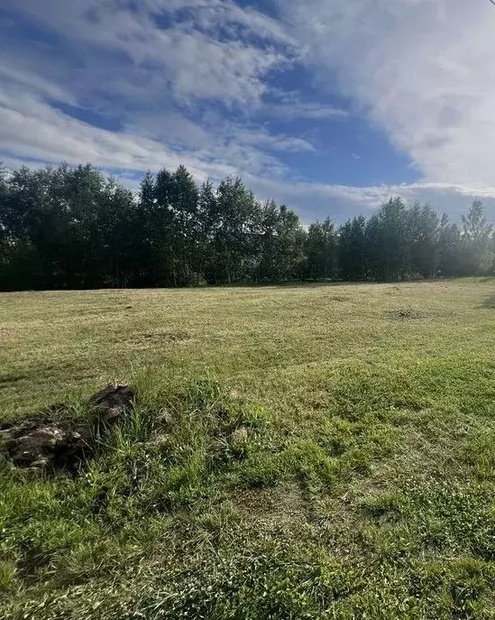 Участок в Московская область, Раменский городской округ, Быково рп  ... - Фото 1