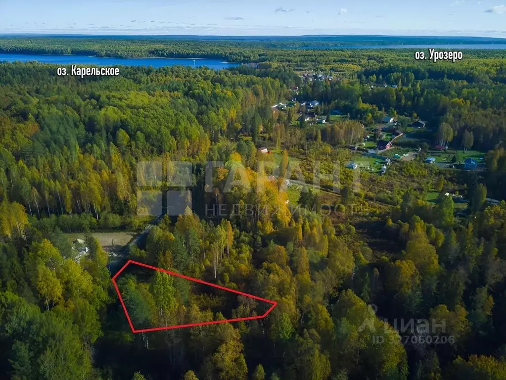 Участок в Карелия, Прионежский район, Гарнизонное с/пос  (22.85 сот.) - Фото 2