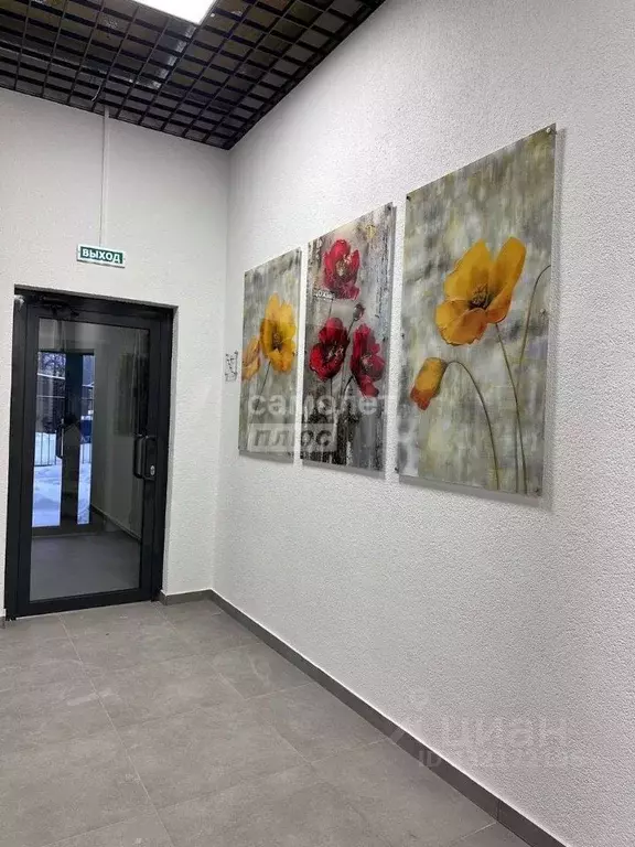 Студия Пензенская область, Кузнецк ул. Кирова, 157Б (25.0 м) - Фото 2