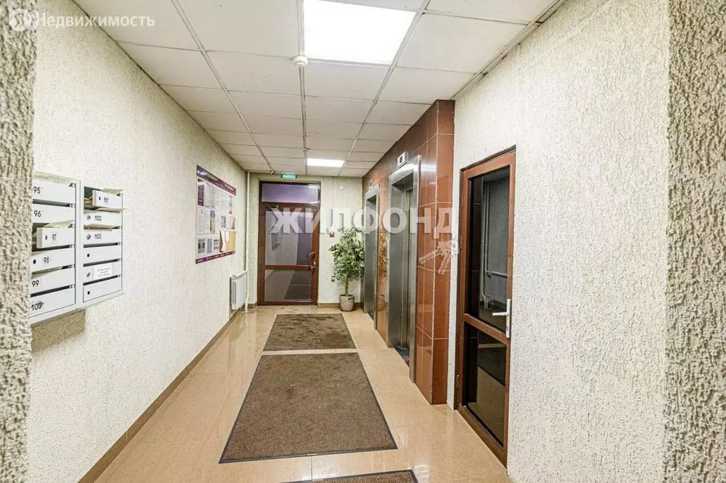 3-комнатная квартира: Новосибирск, улица Семьи Шамшиных, 24/2 (72.1 м) - Фото 0