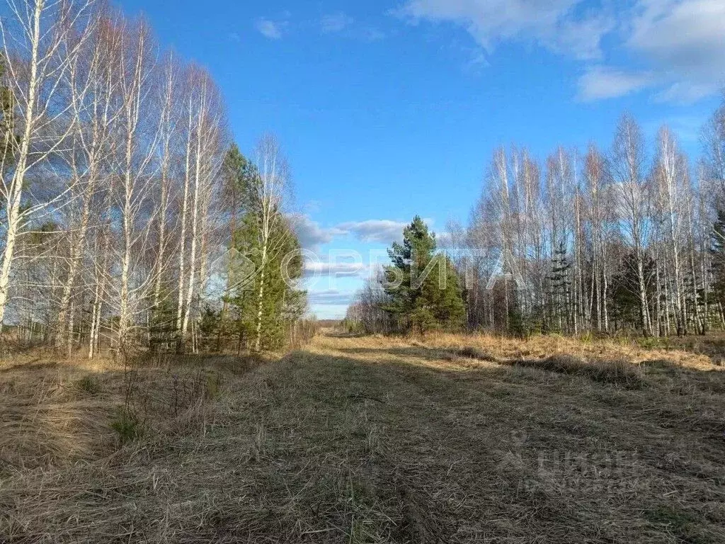 Участок в Тюменская область, Нижнетавдинский район, Царицыно СНТ ул. ... - Фото 0