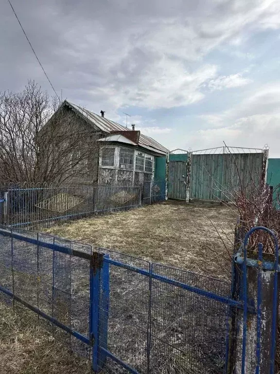 Дом в Пензенская область, Городищенский район, с. Нижняя Елюзань ул. ... - Фото 2