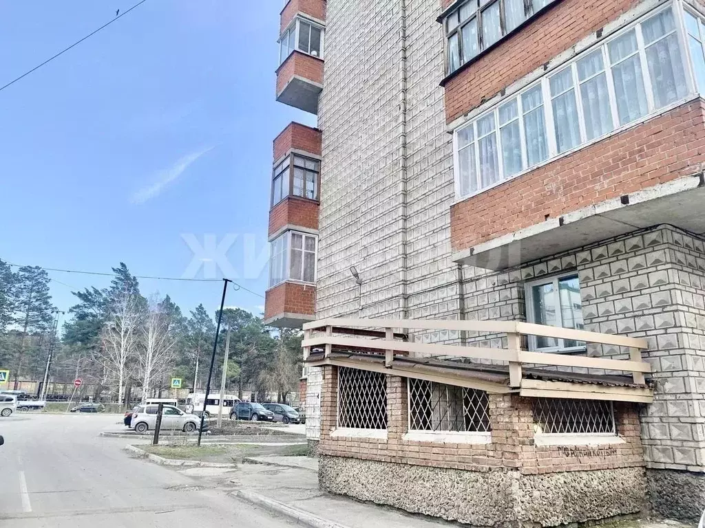 Помещение свободного назначения в Новосибирская область, Новосибирский ... - Фото 1