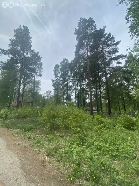 Участок в Иркутский муниципальный округ, ДНП Жемчужина (10 м) - Фото 1
