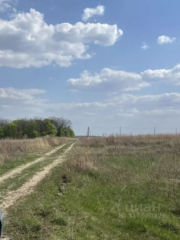 Участок в Курская область, Курский район, Моковский сельсовет, д. 1-я ... - Фото 0